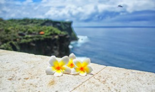 洪山区景点（大洪山风景区景点）