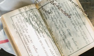 偷壁光凿这四个字组成什么成语 偷壁光凿这四个字组成什么成语了