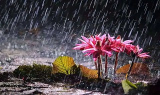 雨季是几月份到几月份（四川雨季是几月份到几月份）