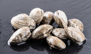 蛤蜊炖茄子最正宗的做法（炖茄子的做法大全）