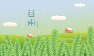 谷雨可以种植哪些谷物（谷雨种植的农作物）