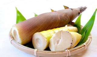 小笋怎么保存时间长而新鲜（小竹笋怎么保存时间长而新鲜）