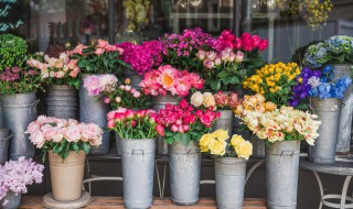 怎样使鲜花在瓶子中保存时间长（鲜花瓶里放什么保鲜时间长）