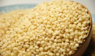 高梁米好熟吗一般煮多长时间（高粱米容易煮熟吗）