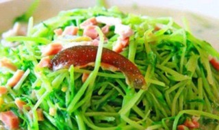 上汤豆苗最正宗的做法 上汤豆苗怎么做