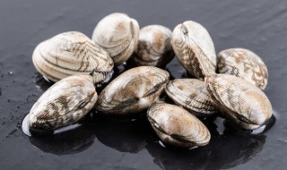 红烧蛤蜊怎么做 红烧蛤蜊怎么做好吃