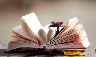 17个出自宋词中的宝宝取名（宋词这个名字怎么样）