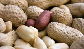 怎么样煮花生才好吃呢（怎样煮花生更好吃）