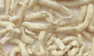 通草水怎么煮（通草水怎么煮一天几次）