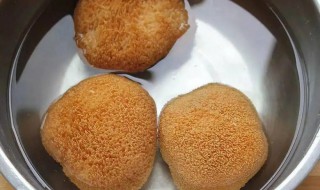 怎么泡发猴头菇（怎样泡发猴头菇）