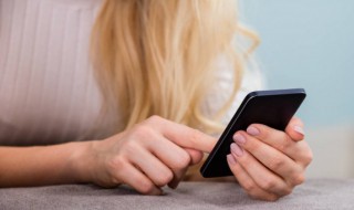 在手机上怎么交个人所得税 怎么在手机上缴纳个人所得税