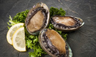 小干鲍鱼要怎么泡发 小干鲍鱼泡发的正确方法