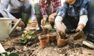 模拟人生4怎么种植物 模拟人生4植物人玩法