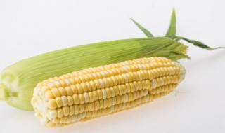 粘玉米怎么煮 粘玉米怎么煮更粘更软