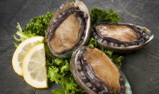 鲍鱼粥怎么熬 鲍鱼粥怎么熬不腥