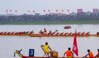 端午节谚语有哪些（关于端午节的,谚语）