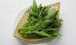 青菜怎么种植（青菜怎么种植容易发芽）