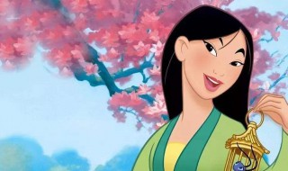 花木兰背景是哪个朝代（花木兰的背景是哪个朝代）