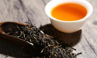 金骏眉可以放冰箱冷冻保存吗（金骏眉储存放冰箱冷藏室还是冷冻室）