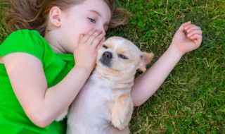 天真烂漫宠物可爱的名字 很可爱的宠物名字