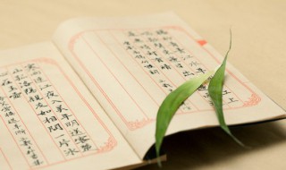 树头花落未成荫的上一句和下一句 树头花落未成荫下一句是什么