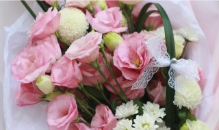 粉色桔梗花的花语是什么 粉色洋桔梗的花语是什么?