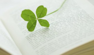 子当父为马父望子成龙是谁的作品（以父为马望子成龙）