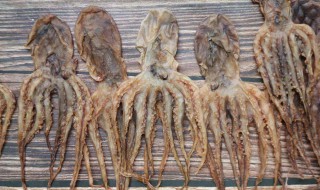 干章鱼怎么泡发（章鱼干泡发清洗方法）