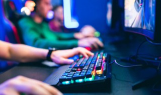 辐射4怎么把狗换回来 辐射4怎么给狗装备