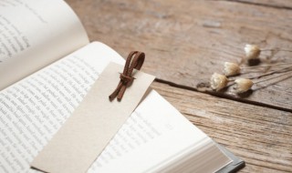 澬组词(枰组词...)