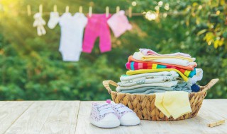 乔其纱是什么面料（顺纡乔其纱是什么面料）