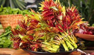 咸香椿怎么做好吃 香椿怎么做咸菜好吃