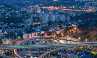 哪个城市是以花卉命名的 哪个城市是以花卉命名的城市