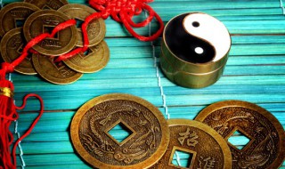 麒麟花风水中应摆放在什么位置好（麒麟花风水中应摆放在什么位置好呢）