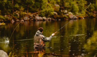 鱼塘钓鱼怎么能避开小白条的骚扰 鱼塘钓鱼怎么能避开小白条的骚扰行为