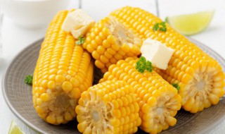 微波炉玉米的做法 微波炉玉米的做法窍门窍门窍门