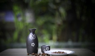 古代的酒杯叫什么 古代的酒杯叫什么盏