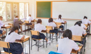 罗组词有哪些 杜组词