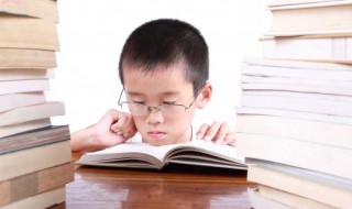 损字组词（瑞字组词）