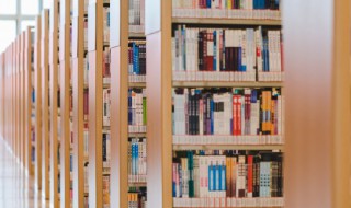 被称为花中皇后的是 被称为花中皇后的是什么植物