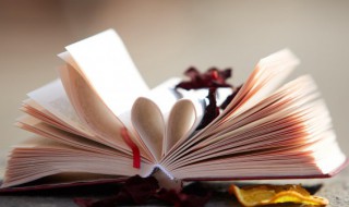 越南北部为什么称为东京 越南是日本吗