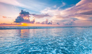 如何保护海洋环境（如何保护海洋环境的建议）