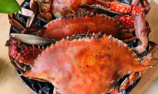 如何烧梭子蟹 梭子蟹好吃