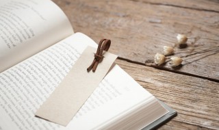 扦插繁殖法的概念（扦插繁殖分为）