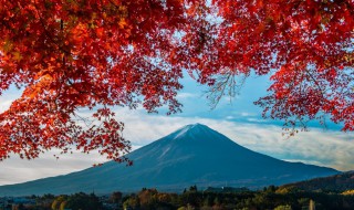 出国去日本旅游需要注意什么 去日本应该注意什么