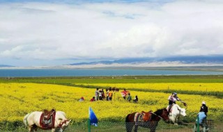 去青海旅游需要准备什么 去青海旅游需要准备什么?需要吃红景天药吗?