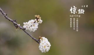 月色反映的是哪个节节气（月色诗词反映的节气是）