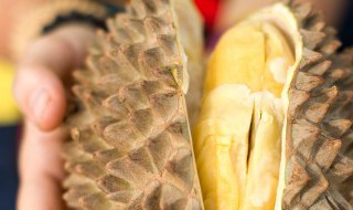 哪些水果不易放在冰箱冷藏室里（什么水果不能放在冰箱冷藏室）