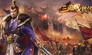 三国戏魏传宝物搭配（三国戏魏传宝物详解）