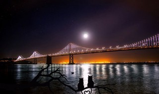 世界第一高桥是哪一座 世界上第一座高桥